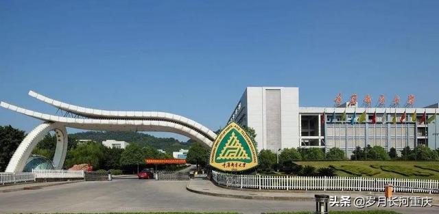 重庆交通大学全国排名，重庆交通大学排名2022最新排名（2022年重庆市属高校预算排名）