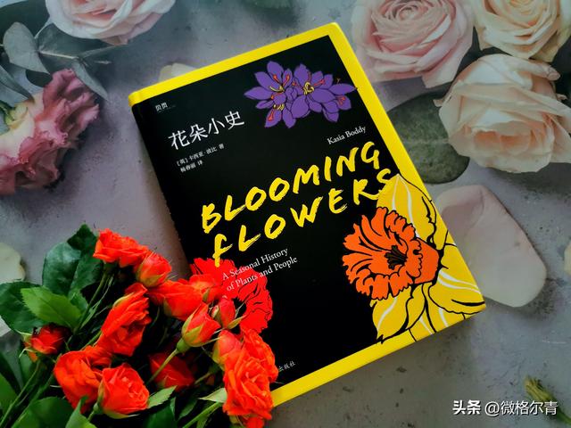 玫瑰的花语和它的传说，玫瑰的花语和它的传说有关（花朵在人类文明中的历史故事）