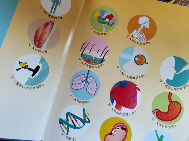 有哪些女性必须知道的性知识，有哪些女性必须知道的性知识和技能（关于人体揭秘，这本书太好玩了）