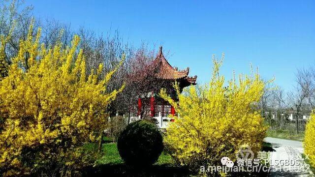 南山公园在哪里，深圳大南山公园开放时间（这是你们熟悉的那个南山公园吗）