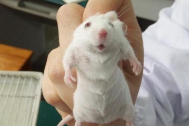 女生学医学影像学影响身体吗，女生千万不要学医学影像（看了她们上课的日常状态）