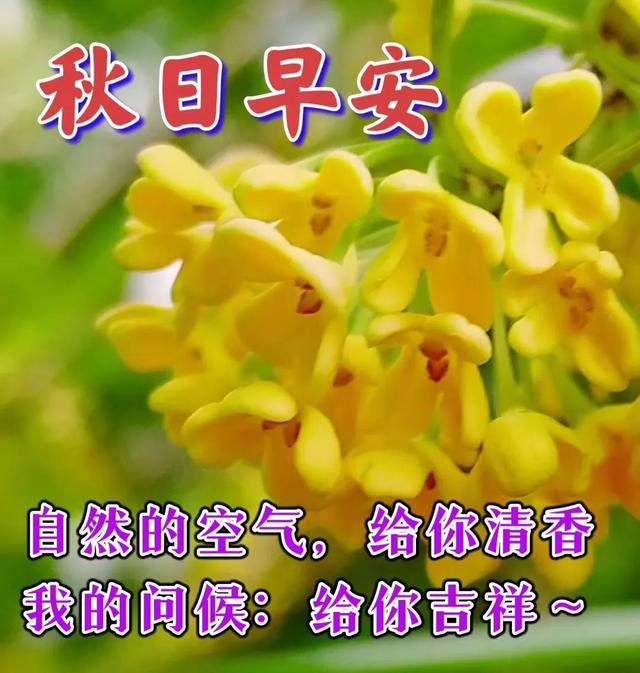 祝福全家的祝福语，2022年春节祝福语全家（直接群发家人朋友的早安祝福语精选大全）