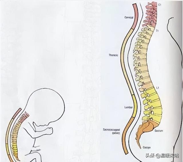 婴幼儿的年龄段是几岁到几岁，婴幼儿是指几岁到几岁（婴幼儿的年龄分期及各期特点）