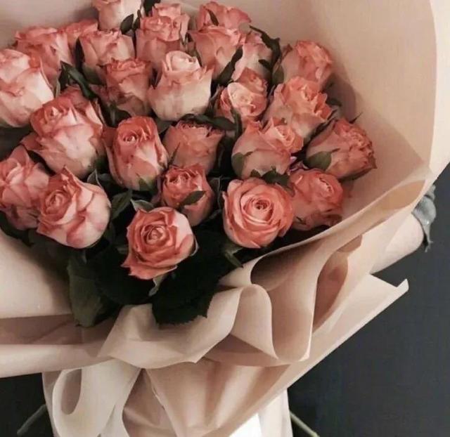 关于校园青春的文案，校园青春的文案短句（可以封神的青春校园文案）