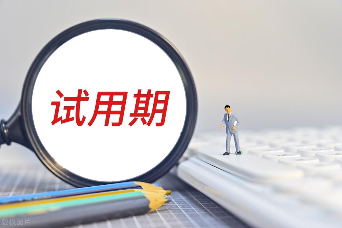 会计试用期工作总结（个人试用期转正工作总结300字）