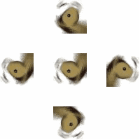 艾玛沃特森图片，艾玛沃特森正脸照（看到艾玛沃特森的近照）