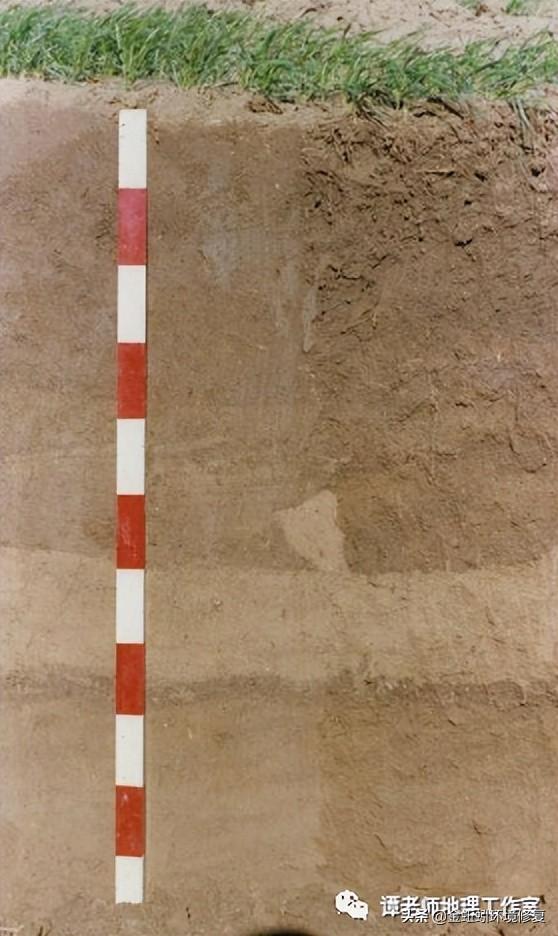 土地性质分类和用途，怎么查个人土地信息（附中国土壤的分类及分布）