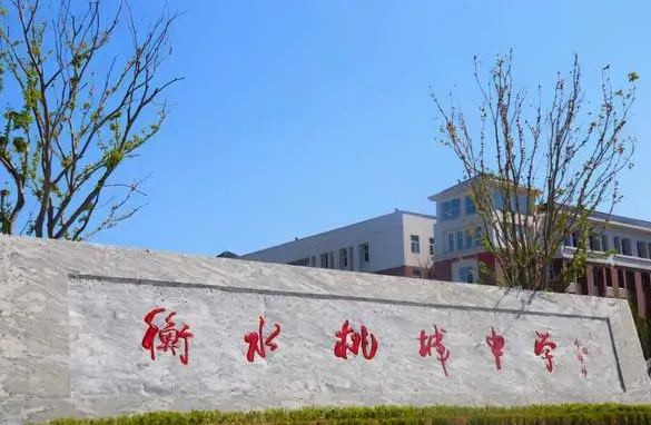 惩戒学校（全国中小学配备新副校长）