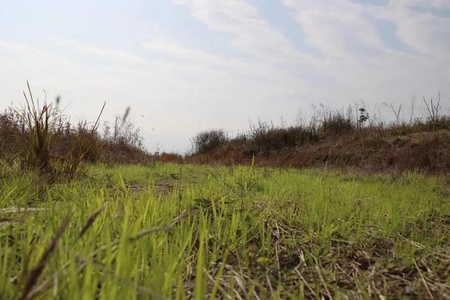 情人节日志大全，日记情人节祝福语大全[1]（2022年情人节的生活日记）