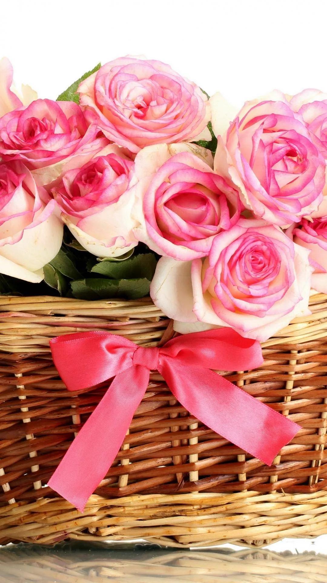 唯美玫瑰花手机壁纸 浪漫(唯美玫瑰花手机壁纸 鲜花) - 彝家农业网