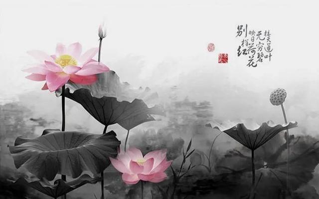 心静的句子，心静的句子 经典语录（20个唯美静心禅语文案）