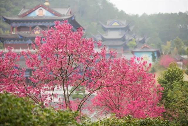 韶关丹霞山旅游攻略，韶关市最有名的旅游景点（来韶关开启徒步模式吧~）