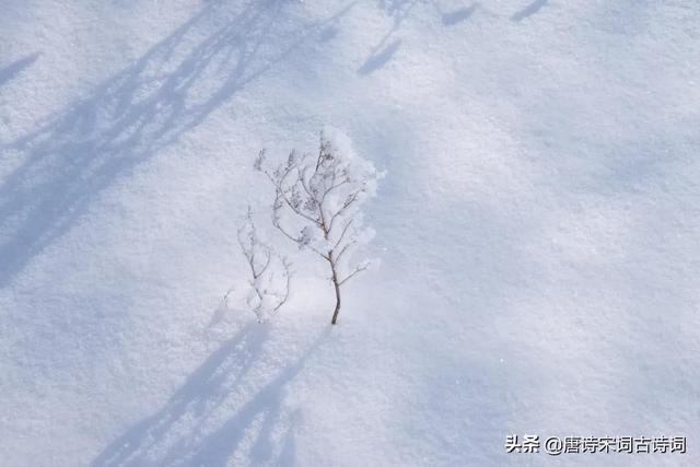 古人对雪的雅称，古人雪的称呼（品读雪的那些美称）