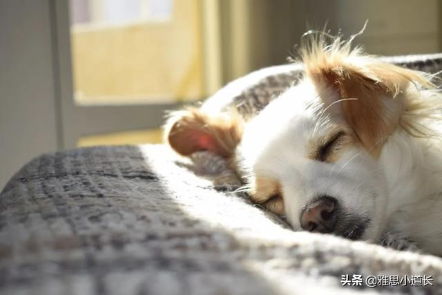 有毅力的英文，有毅力的人英语怎么说（broke”可不是“我受伤了”的意思）