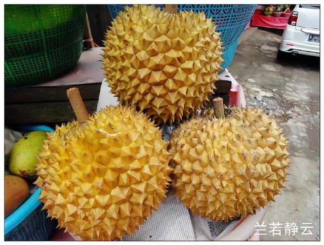 猫屎咖啡的价格，猫屎咖啡多少钱一杯（印尼巴厘岛旅游）