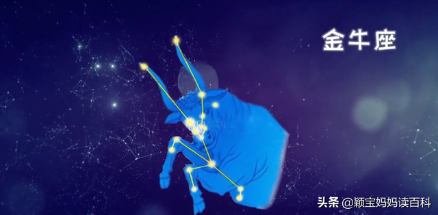 天上的星星是什么，天上最亮的星星是什么星（少儿百科科普之五：有趣的星空）