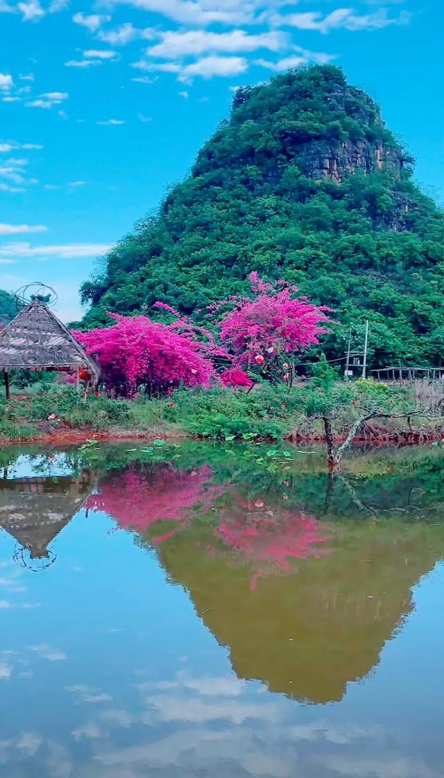 鲜花盛开与心情的美句，形容鲜花带来美好心情的句子（就像你用心雕琢出曼妙字句）