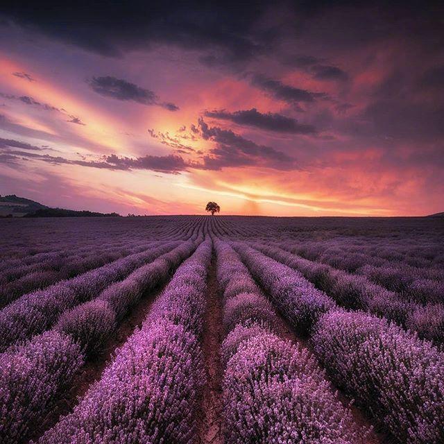 生活压力感悟经典句子，生活的压力经典句子（释放压力的人生哲理语录）