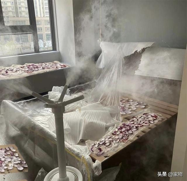 家庭除甲醛的最好办法，瑞立净除甲醛真的有效吗（拒绝“无效除甲醛”）