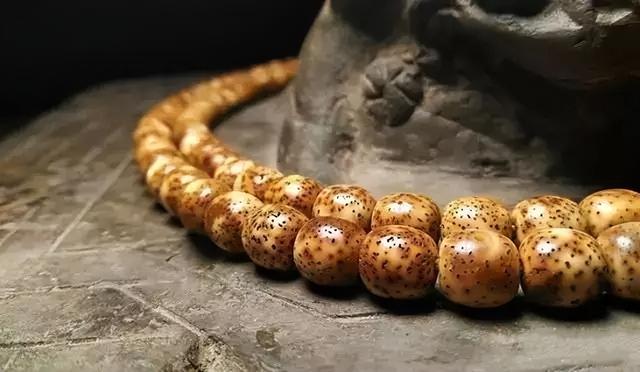 哪种菩提子最珍贵，菩提子是什么（再谈常见的几种星月）