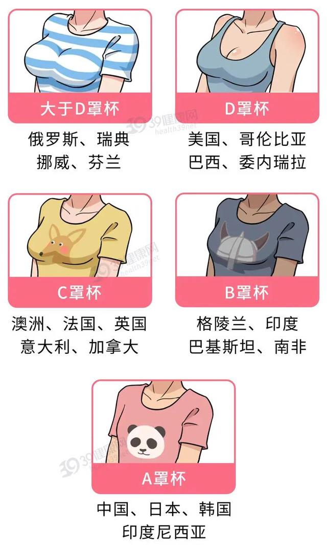 75b算大胸还是小胸，75b算大胸还是小胸怎么买内衣（全球女性胸部大小排行公开）