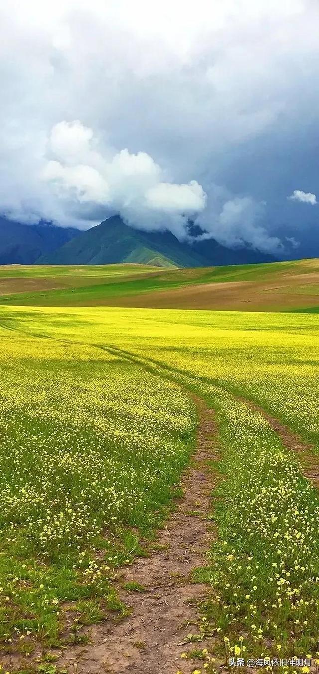 唯美照片，唯美照片风景（高清唯美自然风景图库）