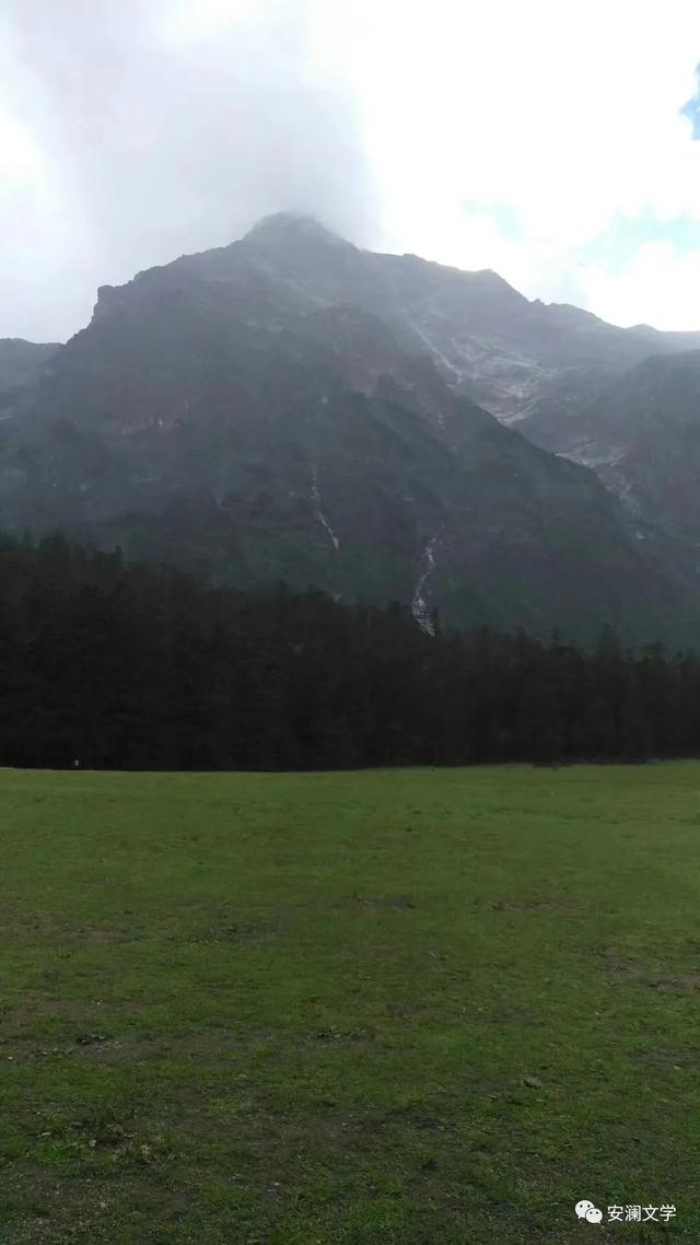 云南金花是什么意思，云南五朵金花有哪些（旅行云南）