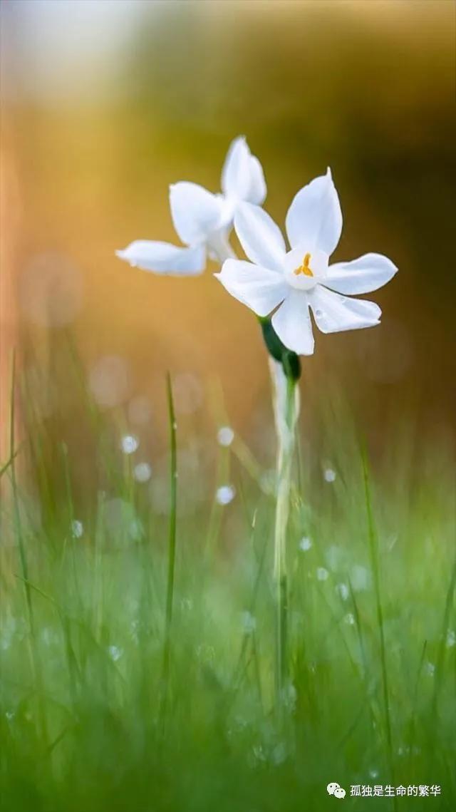 人活着到底为了什么，歌曲人活着到底为了什么（我们为什么活着）