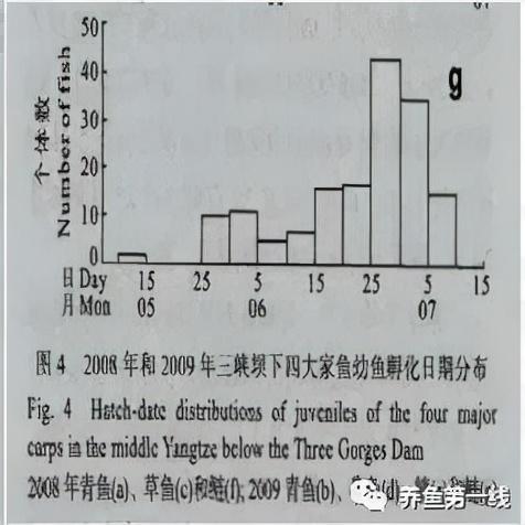 为什么兴建水坝时要留鱼道，河道能够修坝蓄水吗（低水头水利枢纽过鱼通道构建技术）