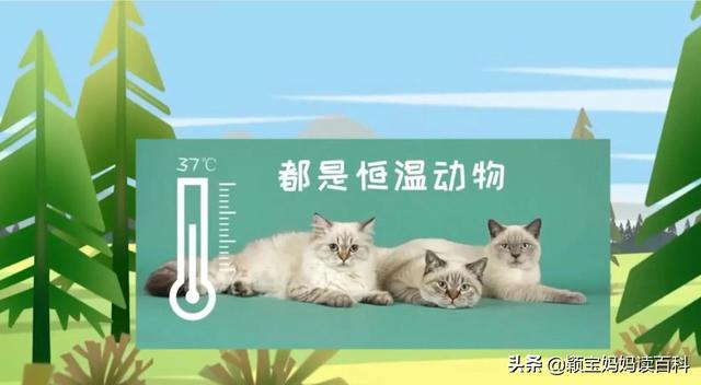 什么叫哺乳动物，什么叫哺乳动物怎么听一遍啊（<二十一>——强大的哺乳动物）