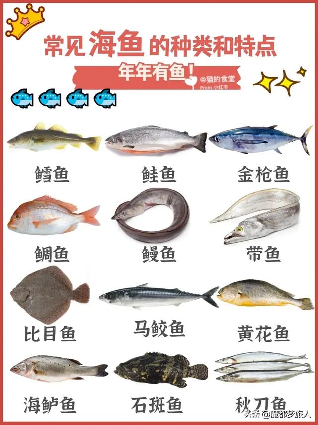 常见的海鱼120种，科普下常见海鱼品种。