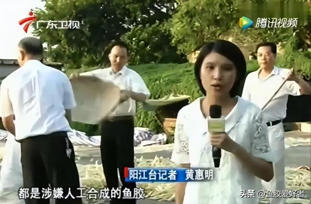 鱼胶是什么，鱼胶是什么鱼身上取的（最便宜的鱼胶是什么鱼胶你知道吗）