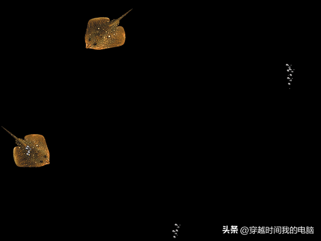 屏幕保护图片怎么设置，屏幕保护图片办公室（98中的27套屏幕保护程序大合集）