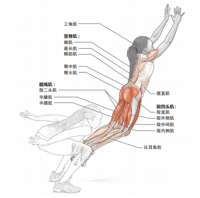 如何提高跑步速度，如何快速提高跑步速度（推荐快速提升跑步配速的6个基础训练动作）