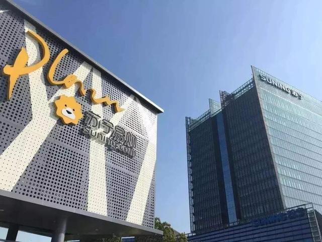 苏宁控股集团（苏宁控股集团成长史）