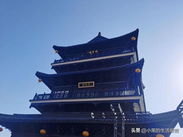 江苏盐城大丰荷兰花海门票，五一就去这里！儿童友好型