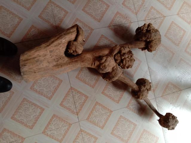 根雕艺术欣赏50幅，发几个天然根艺欣赏