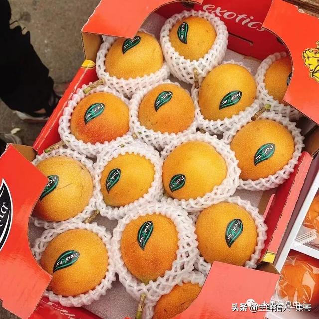 passion fruit是什么水果（土豪百香果，一斤100元）