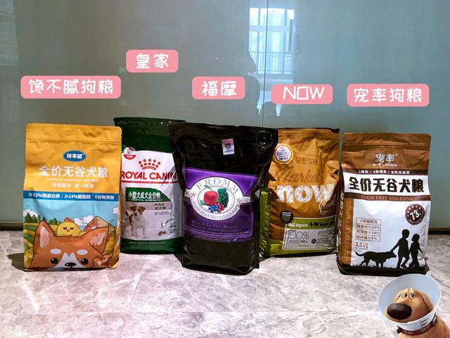 怎么看狗狗的年龄，如何看狗狗的年龄（养狗人：狗的一生“8个阶段”）