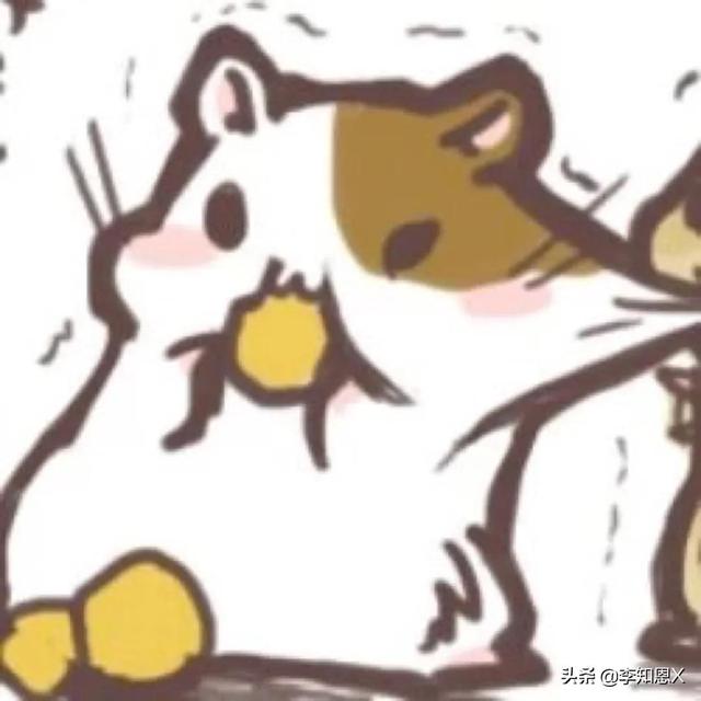 抱猫的女生头像，乔：可爱抱猫女头 人刚认识的时候总是拘谨中带着温柔微信（有趣可爱的情侣头像啊）