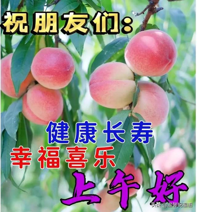 早上好的问候美句，关于早上好的问候美句有哪些（6月20日今生有缘）