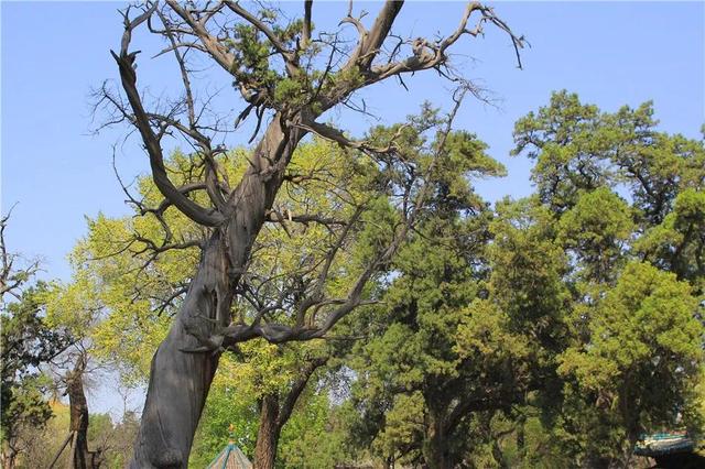 晋祠公园景点介绍，山西晋祠有什么景点好玩（古老晋国宗祠）