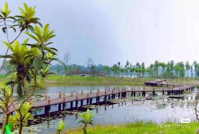 仙女棒可以带上高铁吗，仙女棒（成都近郊这9个烧烤野餐地推荐）