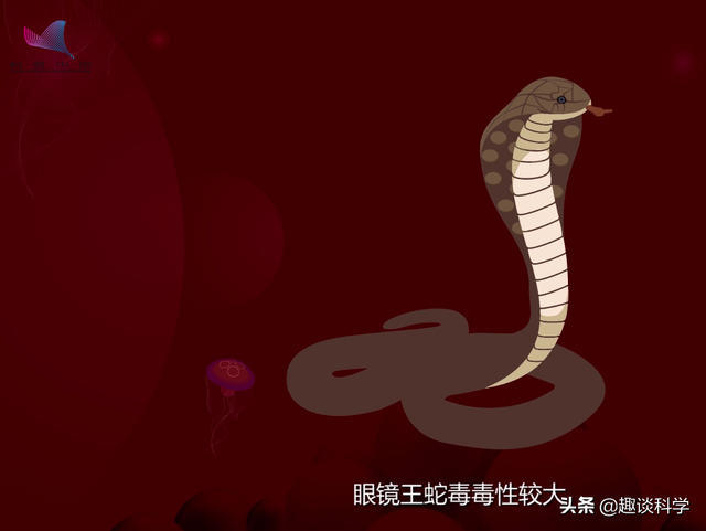 属蛇33岁鬼门关，属蛇2022年婚变（七旬老伯被追咬）