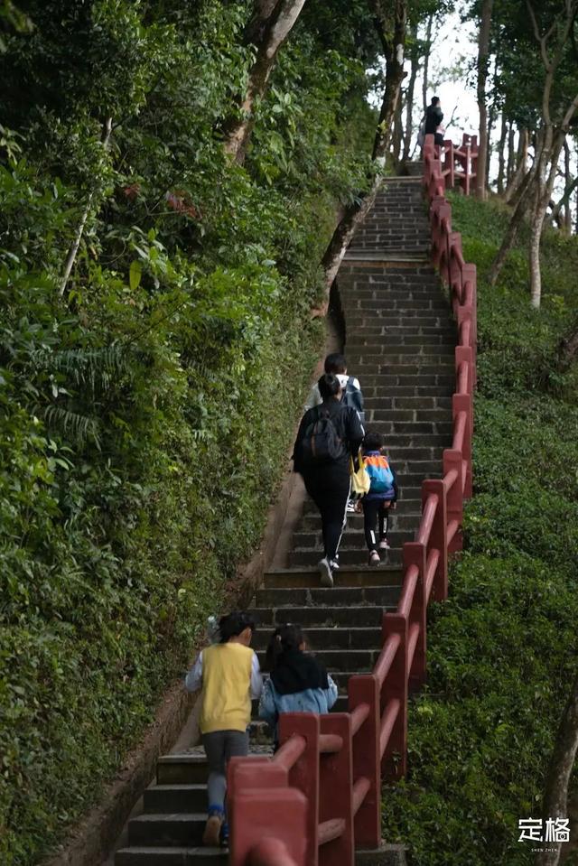 深圳徒步路线推荐，深圳海滨栈道徒步最佳路线（深圳10条徒步路线）