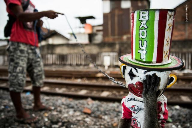 欧美吴彦祖，微信头像，欧美吴彦祖（2018年度最佳野生动物摄影作品图集）