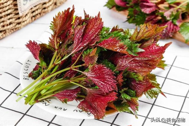 紫苏叶的吃法技巧，老一辈人留下来的土方法