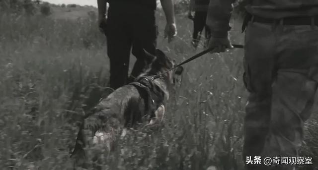 苟杳吕洞宾的故事，苟杳吕洞宾的故事读书心得（40年前的韩国第一纵欲杀手）