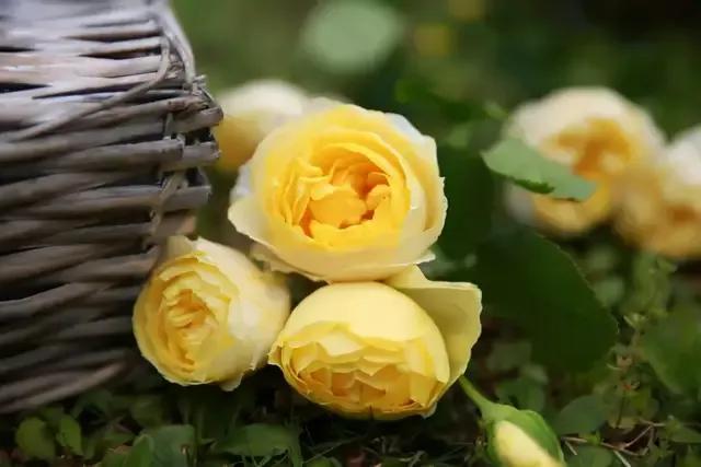 免打扰模式怎么设置，手机免打扰模式在哪里设置（手机免打扰模式开启）