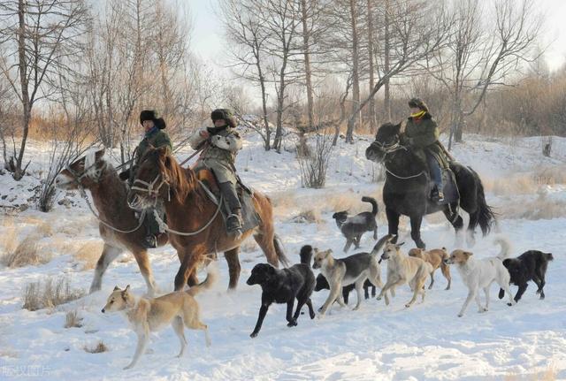 黑龙江旅游景点黑龙江有啥好玩的景点其金矿脉长达500里让人眼红